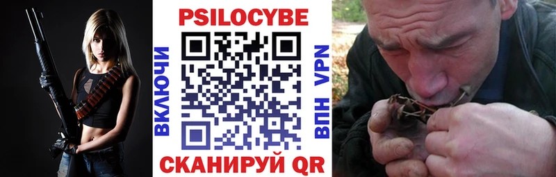 Галлюциногенные грибы Psilocybine cubensis  Тейково 